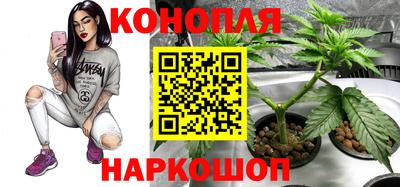Альфа ПВП Долгопрудный