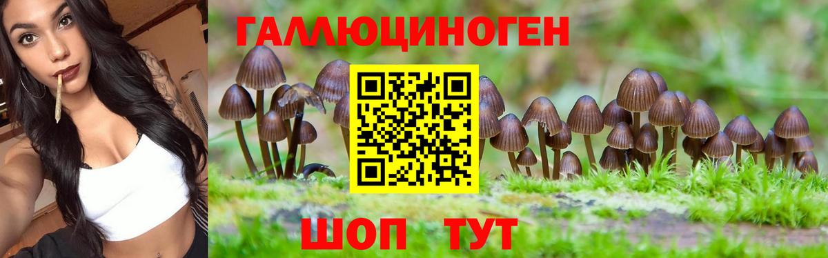 сколько стоит  Псилоцибиновые грибы Magic Shrooms  Вход с VPN  Галлюциногенные грибы ЛСД  Бор 